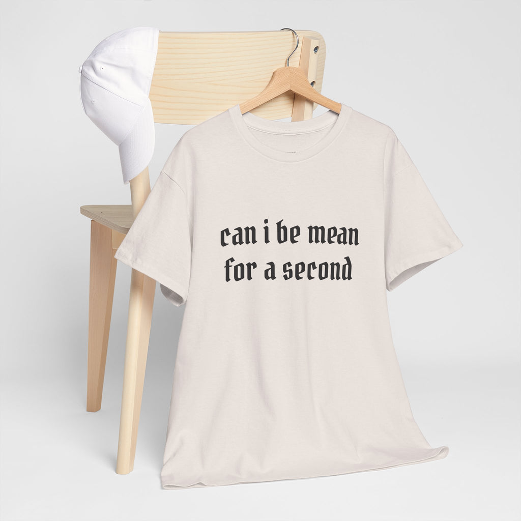 Can I Be Mean For A Second Tee — Funny Sarcastic Graphic T-Shirt