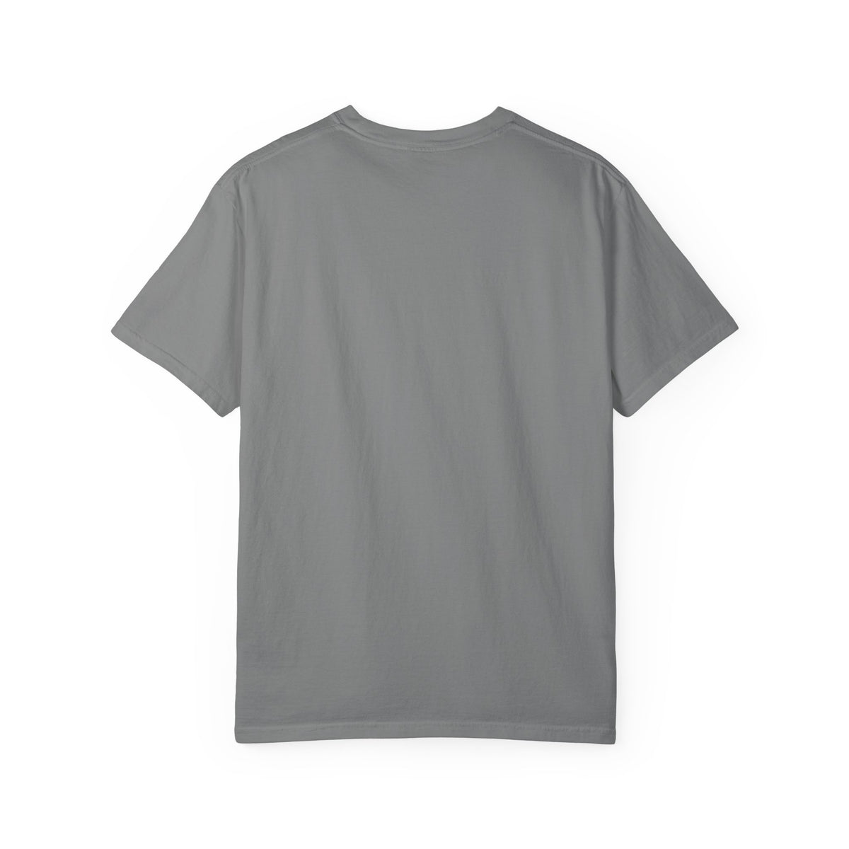 Surviving Fatherhood T-Shirt — 'One Day at a Time' Camping Dad Graphic Tee