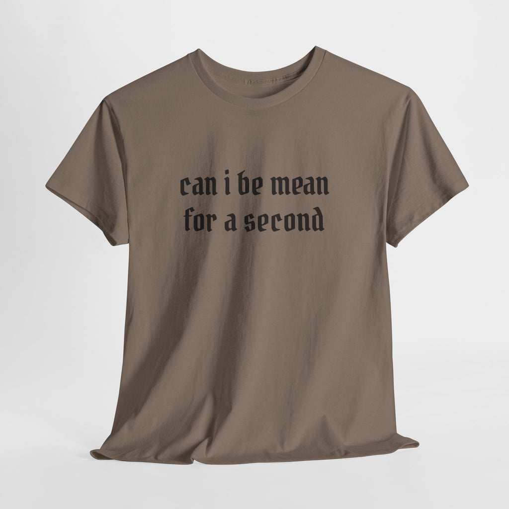 Can I Be Mean For A Second Tee — Funny Sarcastic Graphic T-Shirt