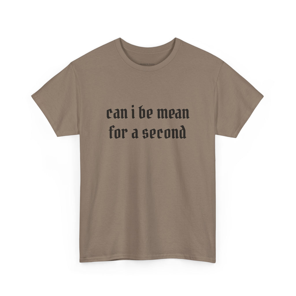 Can I Be Mean For A Second Tee — Funny Sarcastic Graphic T-Shirt